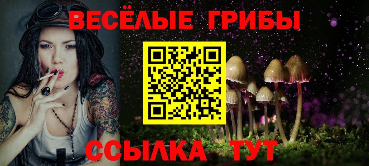 закладка  Псилоцибиновые грибы мухоморы  Вход с VPN  Галлюциногенные грибы Magic Shrooms  Симферополь 