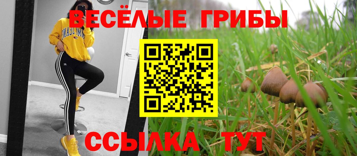 Галлюциногенные грибы Magic Shrooms Симферополь